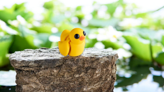 Duck