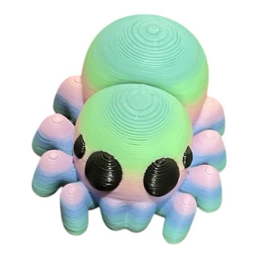 Mini Rainbow Spider